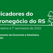 indicadores do agronegocio  semestre 2022 primeiro segundo trimestre 2022