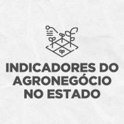 18151424 9964 GDO